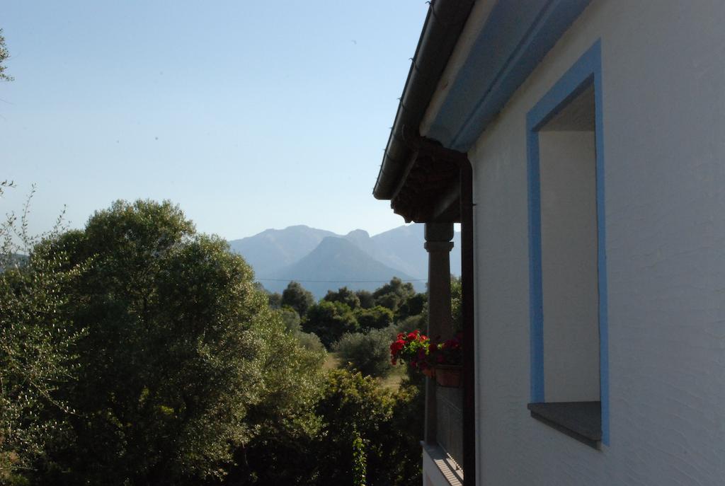 Residenza Di Campagna Dolmen Motorra Guest House Dorgali Luaran gambar